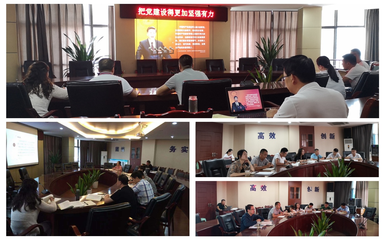 一支部開展“讀原著、學(xué)原文、悟原理”集中學(xué)習(xí)活動(dòng)