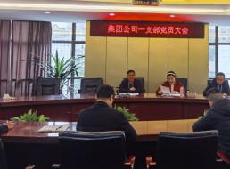 集團(tuán)公司一支部召開黨員大會(huì)