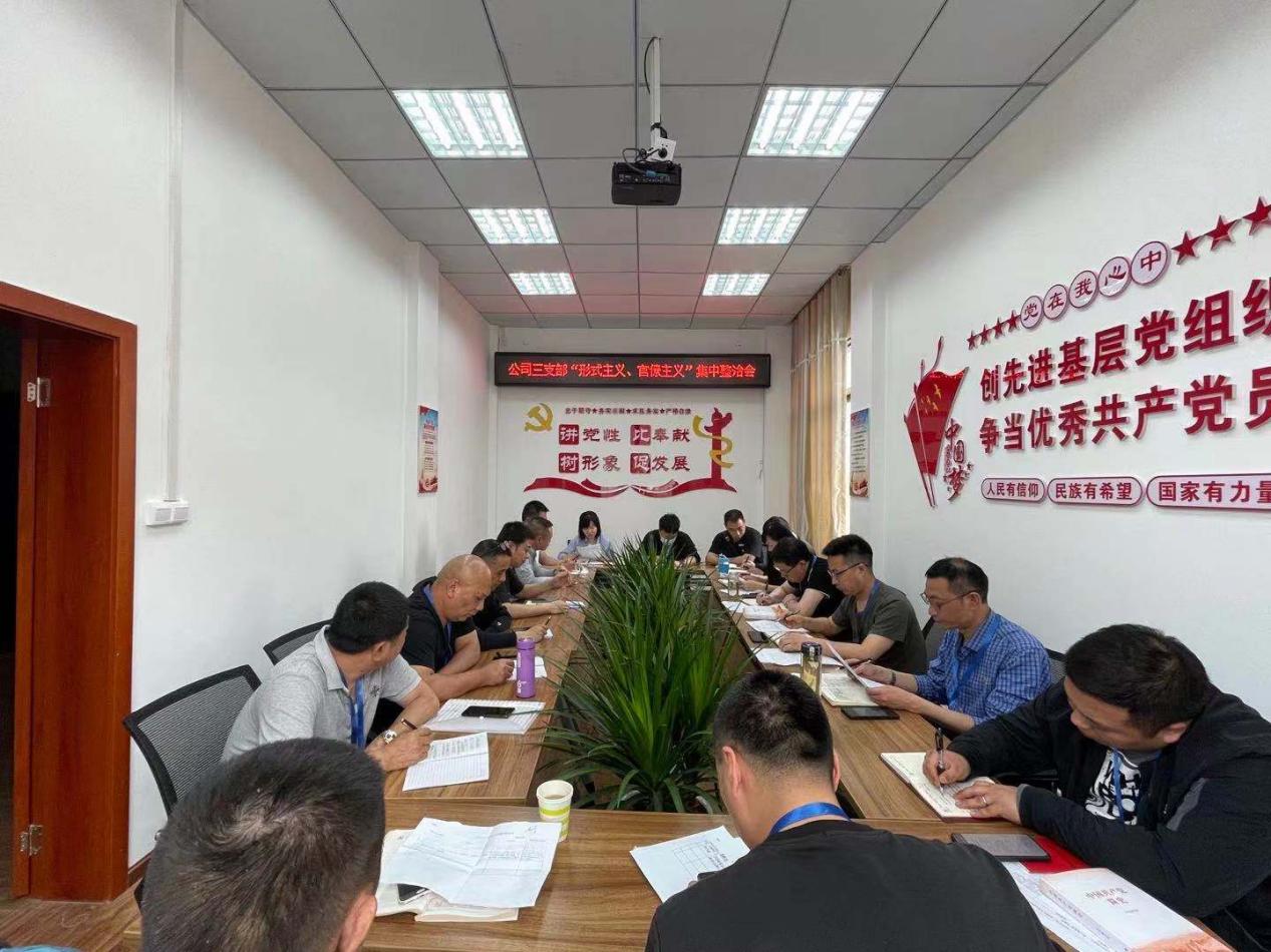 公司三支部召開黨員大會暨“形式主義、官僚主義”集中整治工作會