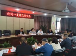 公司一支部開展 “學(xué)黨史、強(qiáng)信念、知黨恩、跟黨走” 黨史讀書交流會主題黨日活動