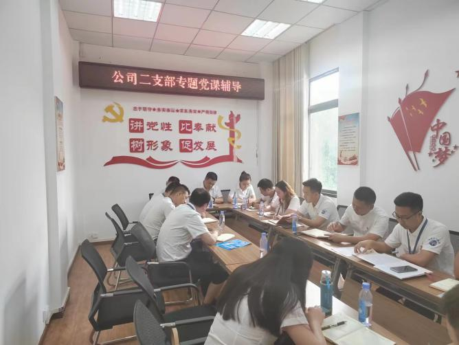 公司二支部開展“齊力共進(jìn)、強企有我” 主題黨日活動