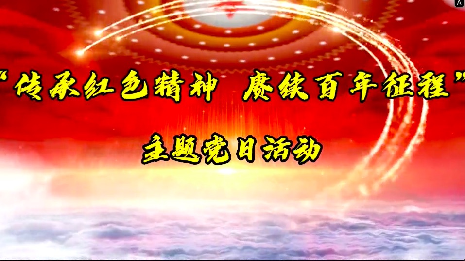 傳承紅色精神，賡續(xù)百年征程-共產(chǎn)黨員服務(wù)大隊主題黨日活動