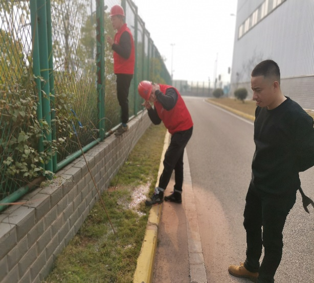 高效用心服務(wù) 為企排憂(yōu)解難